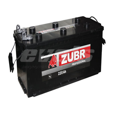 ZUBR Professional  6ст-220 рос. — основное фото